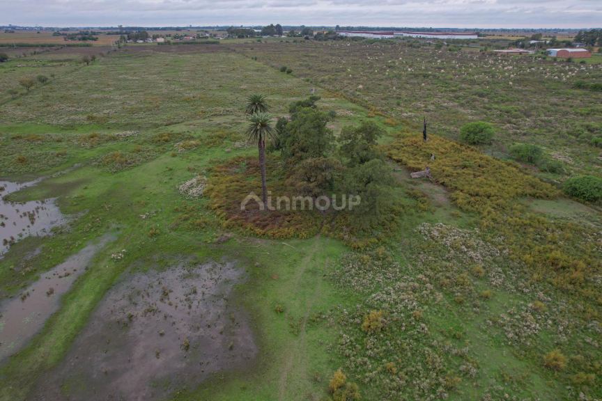 Campo en Venta en Rosario, Santa Fe