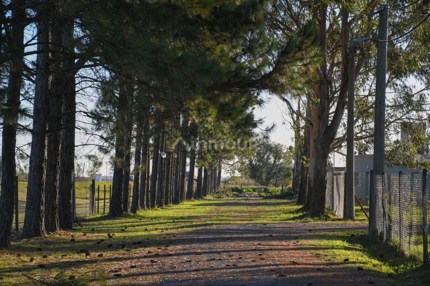 Terreno en Venta en Rosario, Santa Fe