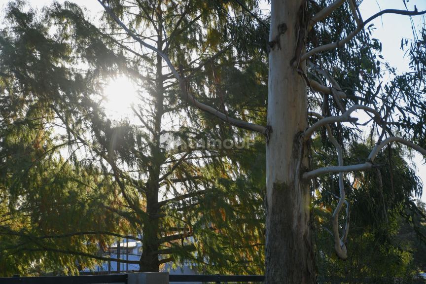 Terreno en Venta en Rosario, Santa Fe