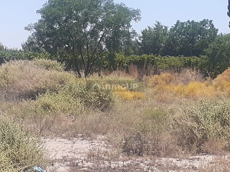 Lote en Venta en San Martin, Mendoza