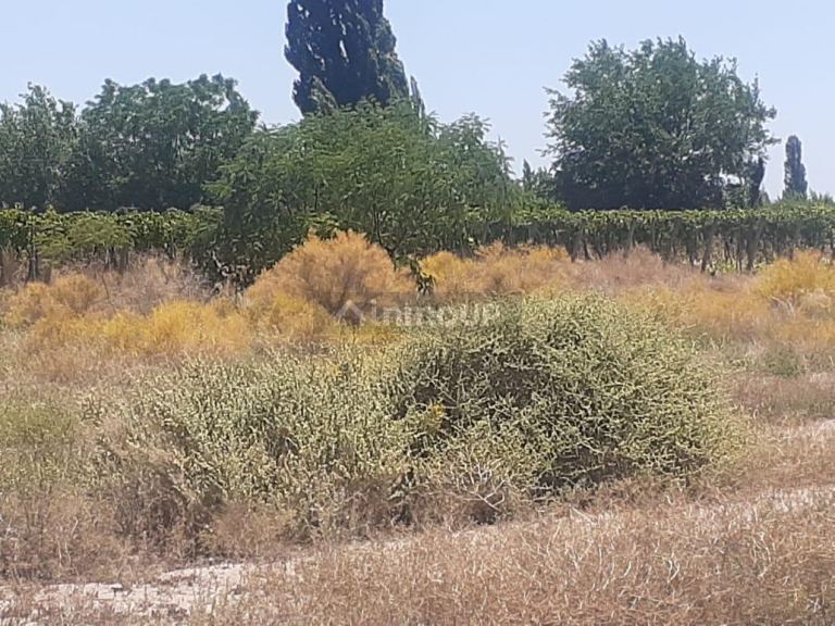 Lote en Venta en San Martin, Mendoza