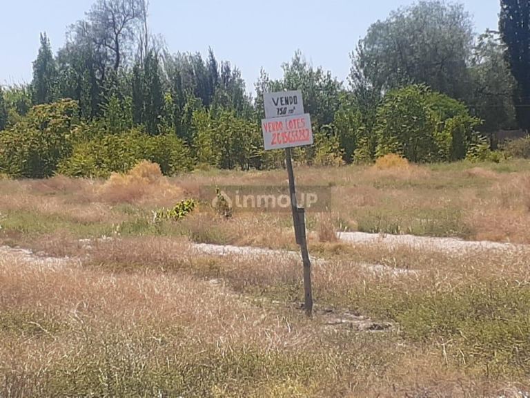 Lote en Venta en San Martin, Mendoza