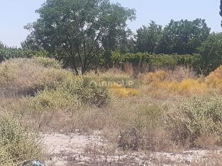 San Martin Carril cereceto y carril oratorio