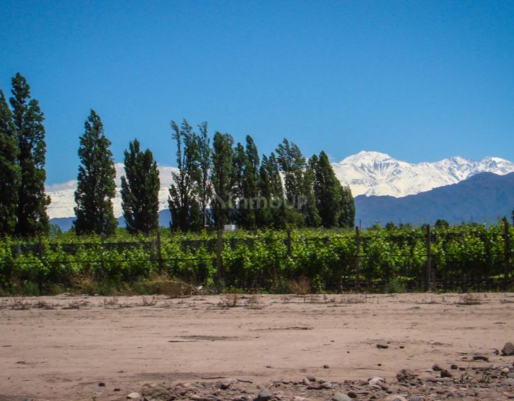 Lote en Venta en Lujan de Cuyo, Mendoza
