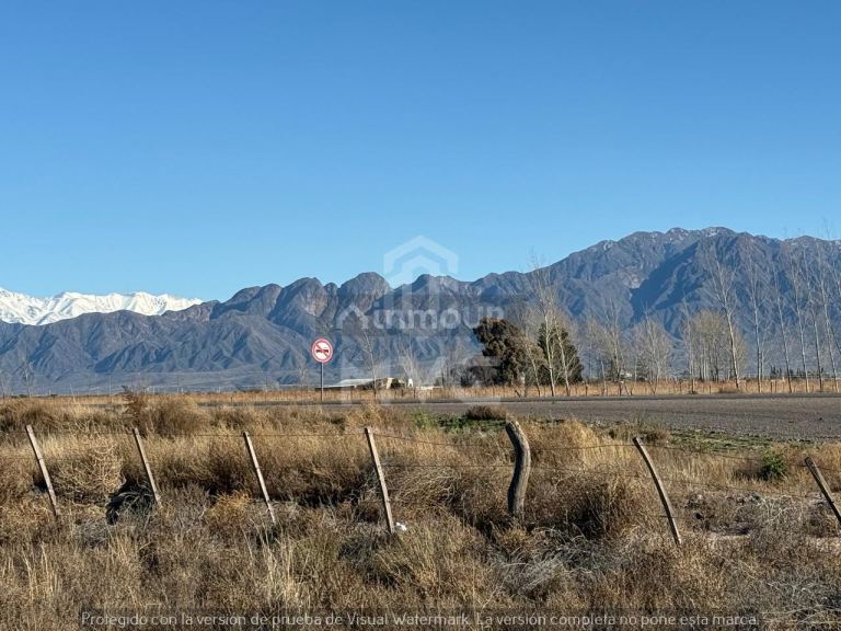 Terreno en Venta en Lujan de Cuyo, Mendoza