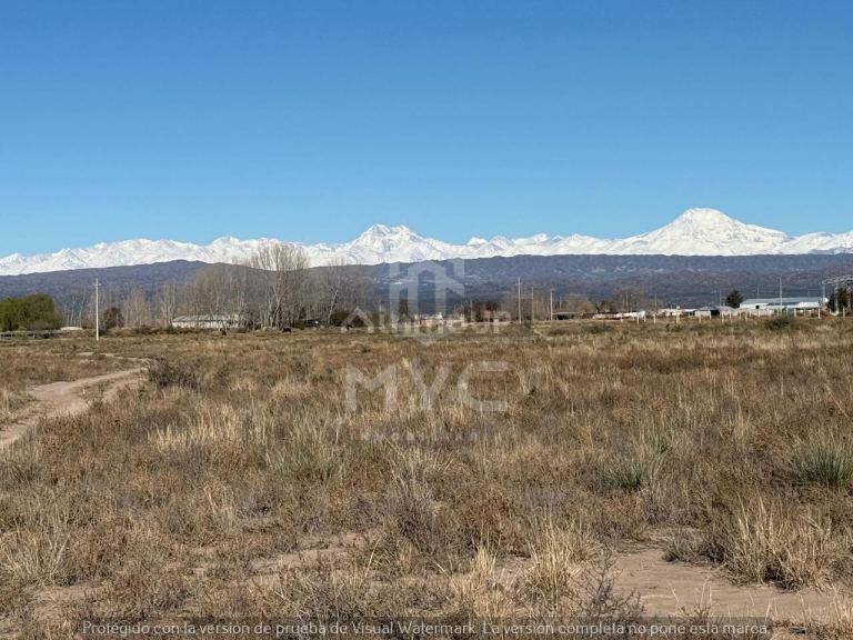 Terreno en Venta en Lujan de Cuyo, Mendoza
