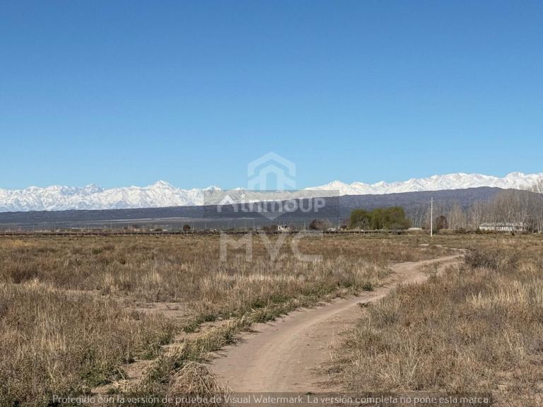 Terreno en Venta en Lujan de Cuyo, Mendoza