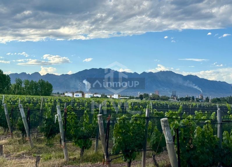 Terreno en Venta en Lujan de Cuyo, Mendoza