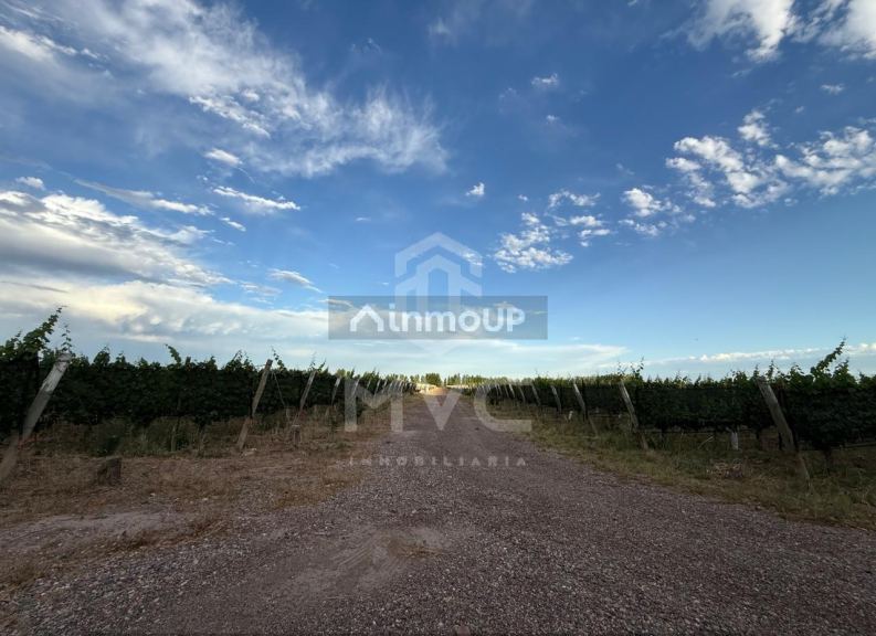 Terreno en Venta en Lujan de Cuyo, Mendoza