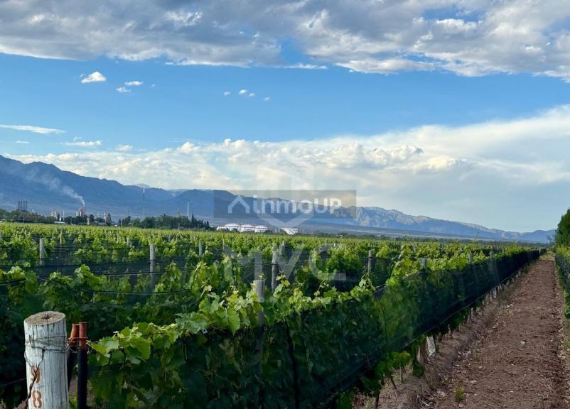 Terreno en Venta en Lujan de Cuyo, Mendoza