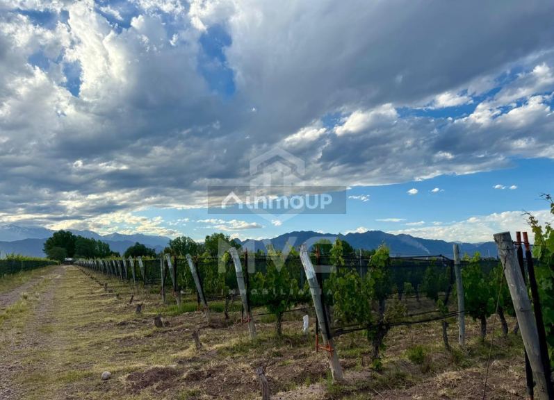 Terreno en Venta en Lujan de Cuyo, Mendoza