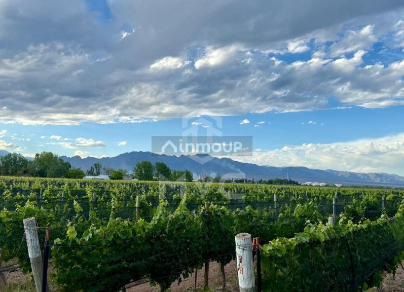 Terreno en Venta en Lujan de Cuyo, Mendoza