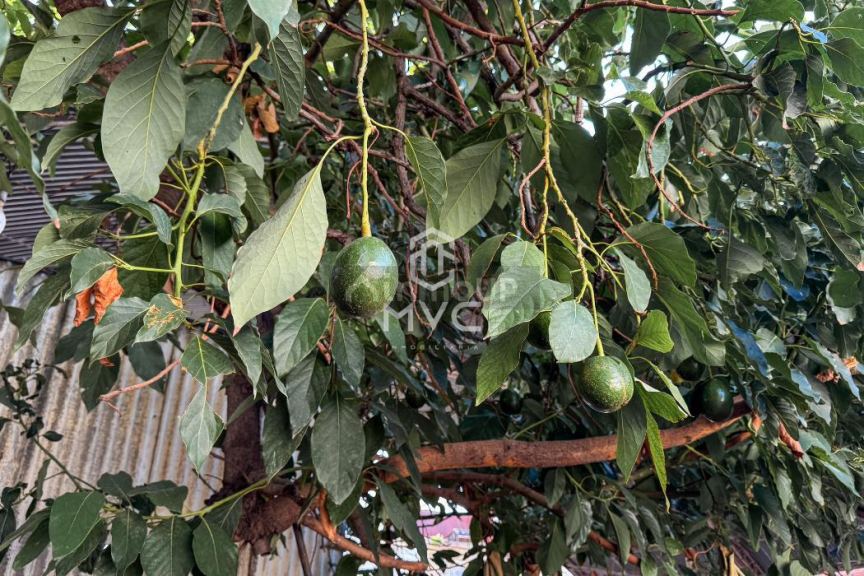 Galpon en Venta en Godoy Cruz, Mendoza
