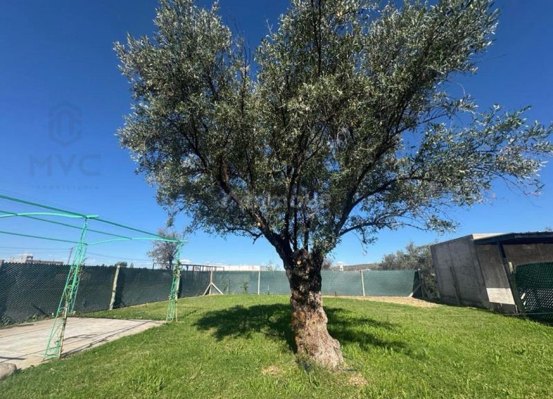 Terreno en Venta en Lujan de Cuyo, Mendoza