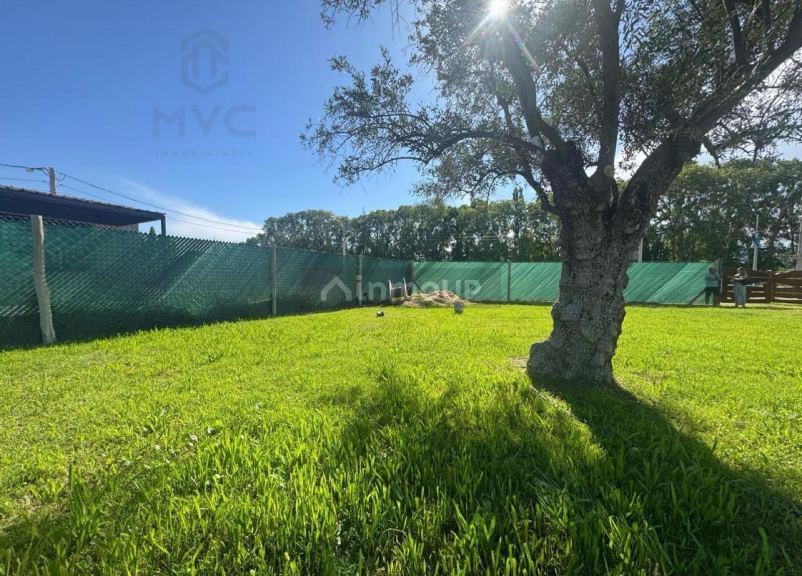 Terreno en Venta en Lujan de Cuyo, Mendoza