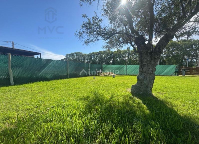 Terreno en Venta en Lujan de Cuyo, Mendoza