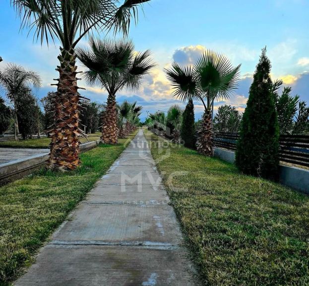 Terreno en Venta en Maipu, Mendoza