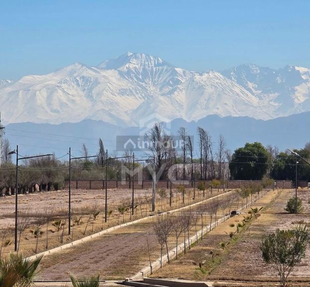 Terreno en Venta en Maipu, Mendoza