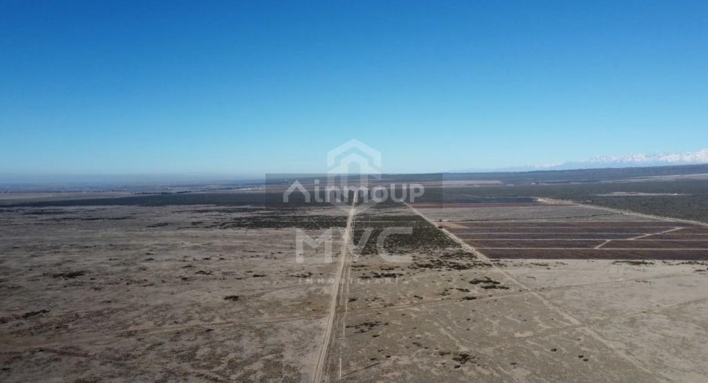 Campo en Venta en Lujan de Cuyo, Mendoza