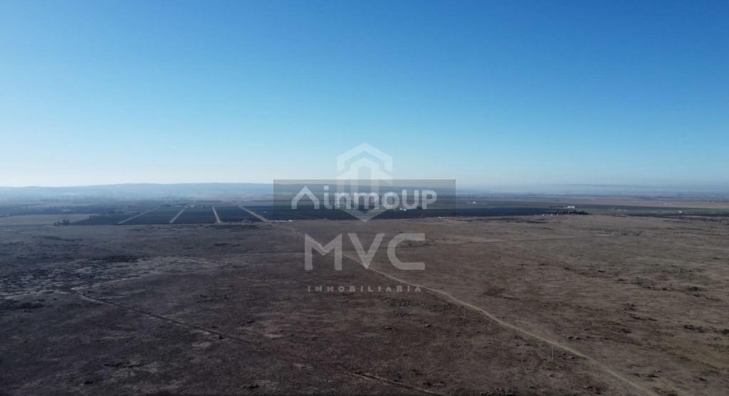 Campo en Venta en Lujan de Cuyo, Mendoza