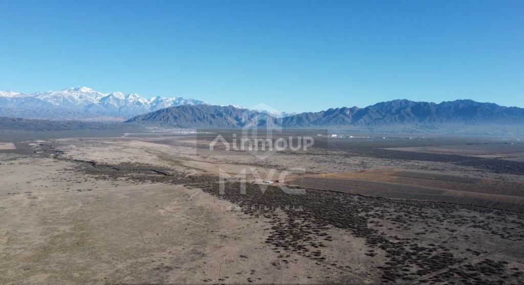 Campo en Venta en Lujan de Cuyo, Mendoza