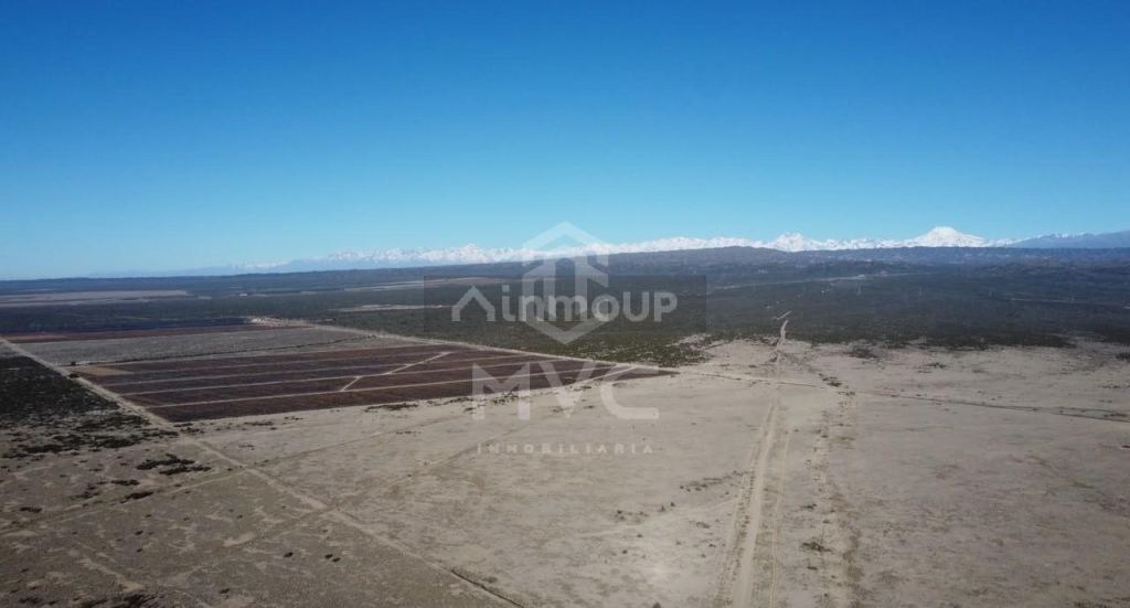 Campo en Venta en Lujan de Cuyo, Mendoza