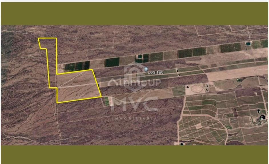 Campo en Venta en Lujan de Cuyo, Mendoza