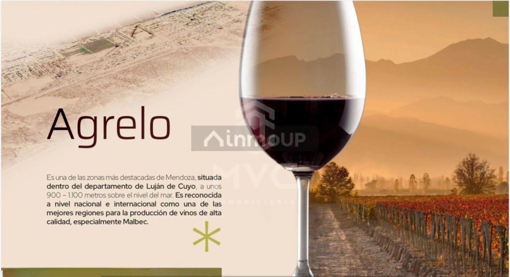 Campo en Venta en Lujan de Cuyo, Mendoza