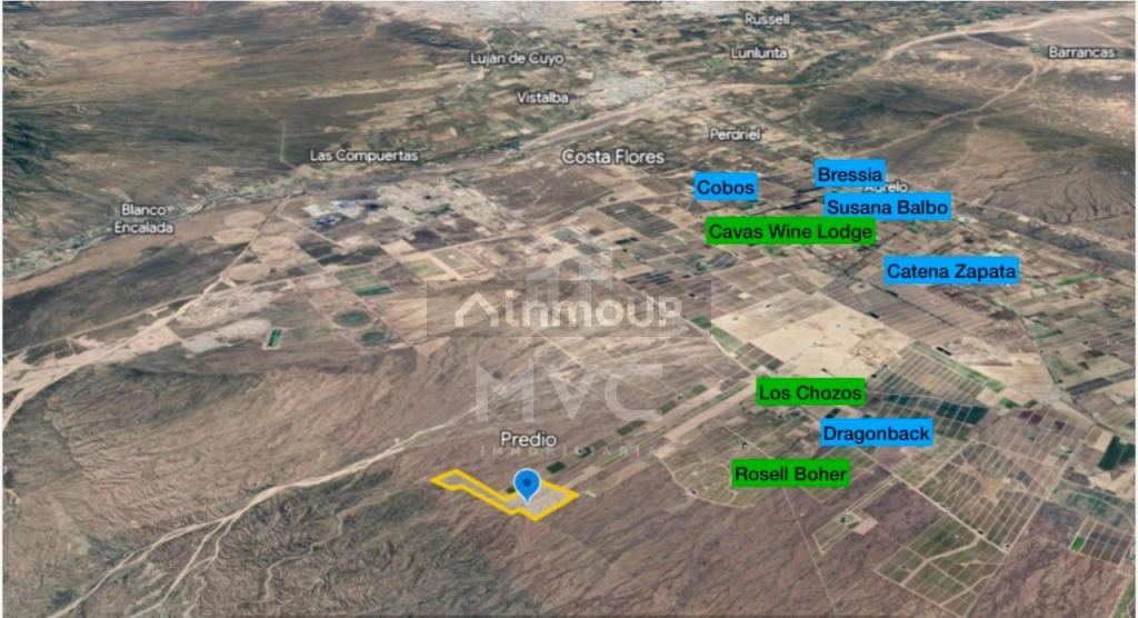 Campo en Venta en Lujan de Cuyo, Mendoza