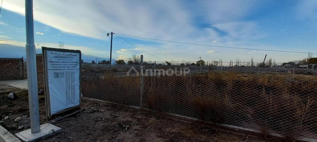 Lote en Venta en San Carlos, Mendoza