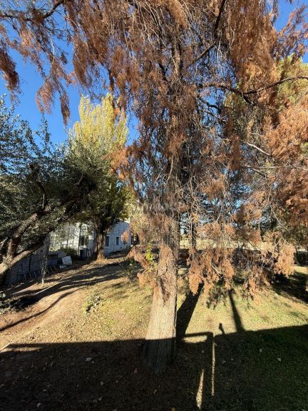 Lote en Venta en Guaymallen, Mendoza