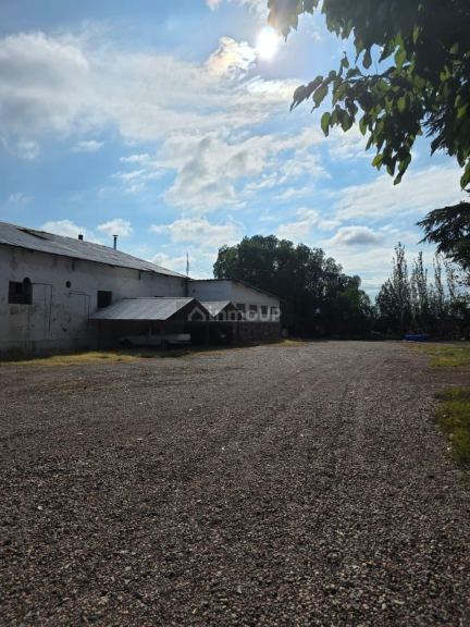 Galpon en Venta en Maipu, Mendoza