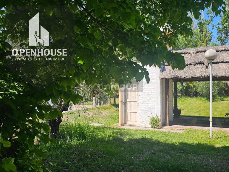 Finca en Venta en Maipu, Mendoza