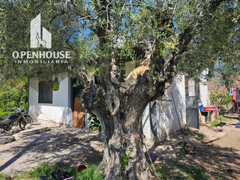 Finca en Venta en Maipu, Mendoza