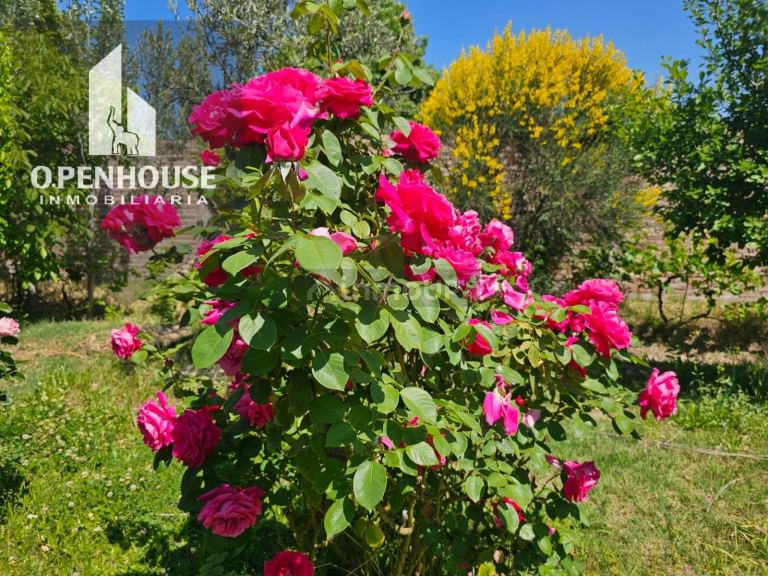Finca en Venta en Maipu, Mendoza