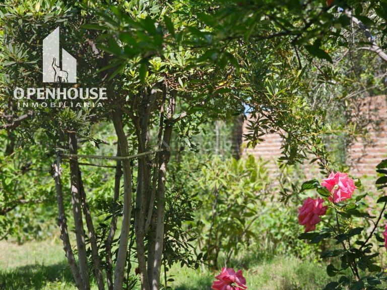Finca en Venta en Maipu, Mendoza