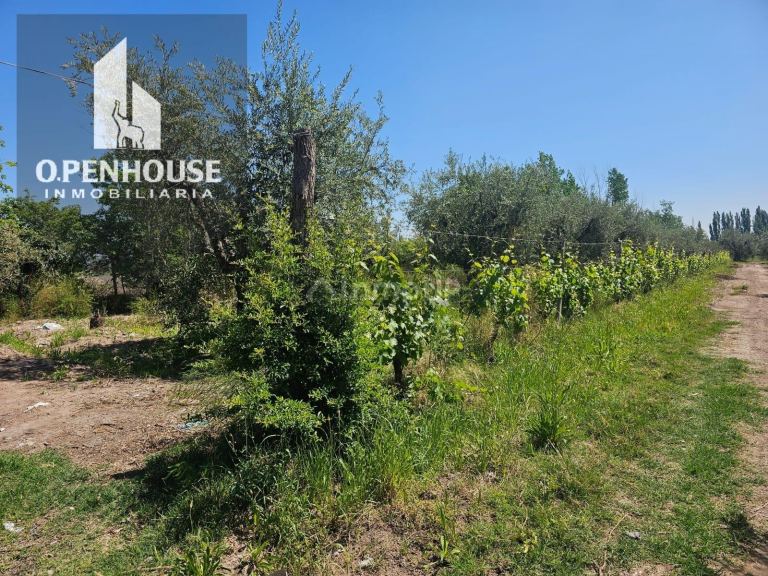 Finca en Venta en Maipu, Mendoza