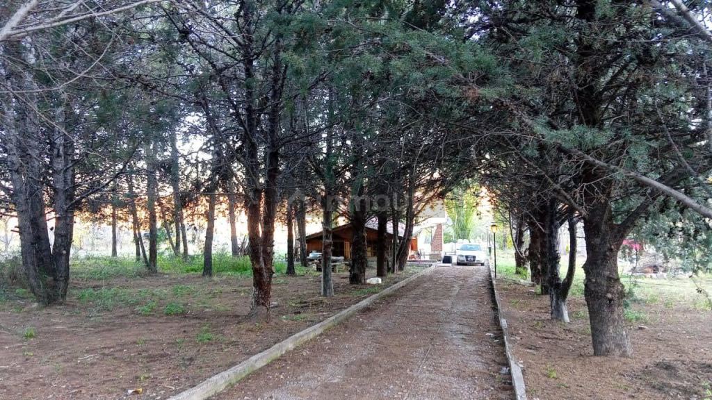 Lujan de Cuyo ruta panamericana