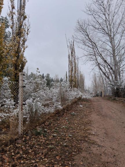 Campo en Venta en Lujan de Cuyo, Mendoza - USD 250.000 | Inmoup - 11
