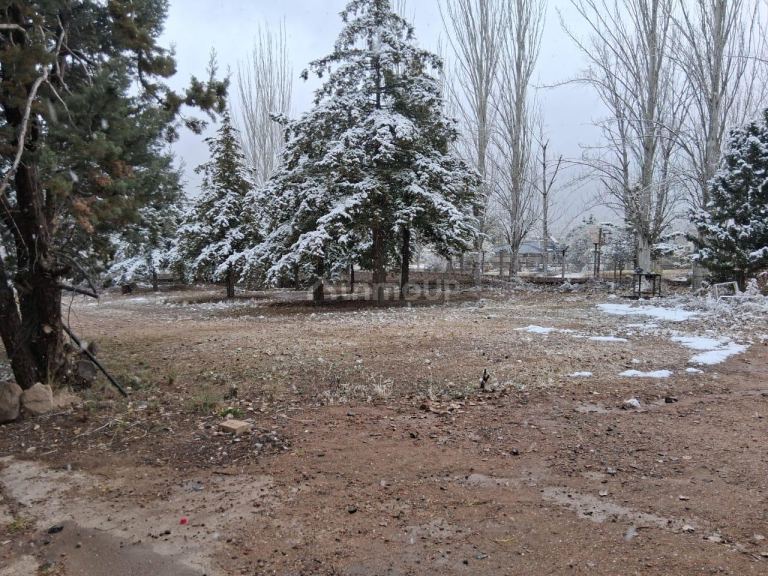 Campo en Venta en Lujan de Cuyo, Mendoza - USD 250.000 | Inmoup - 18