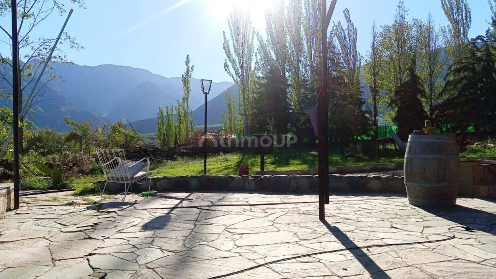 Campo en Venta en Lujan de Cuyo, Mendoza - USD 250.000 | Inmoup - 6