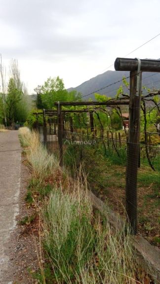 Campo en Venta en Lujan de Cuyo, Mendoza - USD 250.000 | Inmoup - 7