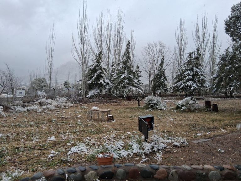Campo en Venta en Lujan de Cuyo, Mendoza - USD 250.000 | Inmoup - 20