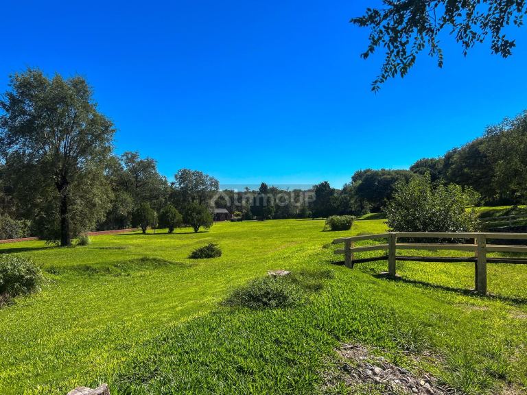 Campo en Venta en Santa Maria, Cordoba