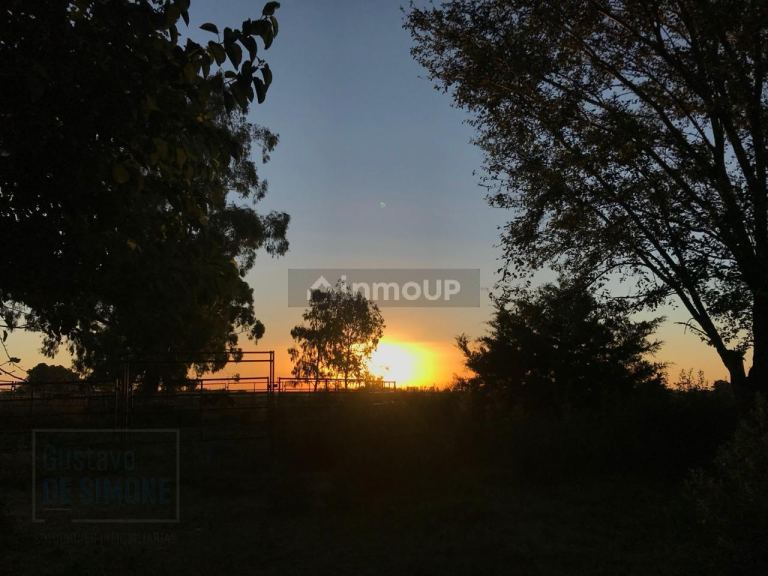 Finca en Venta en Pehuajo, Buenos Aires Interior