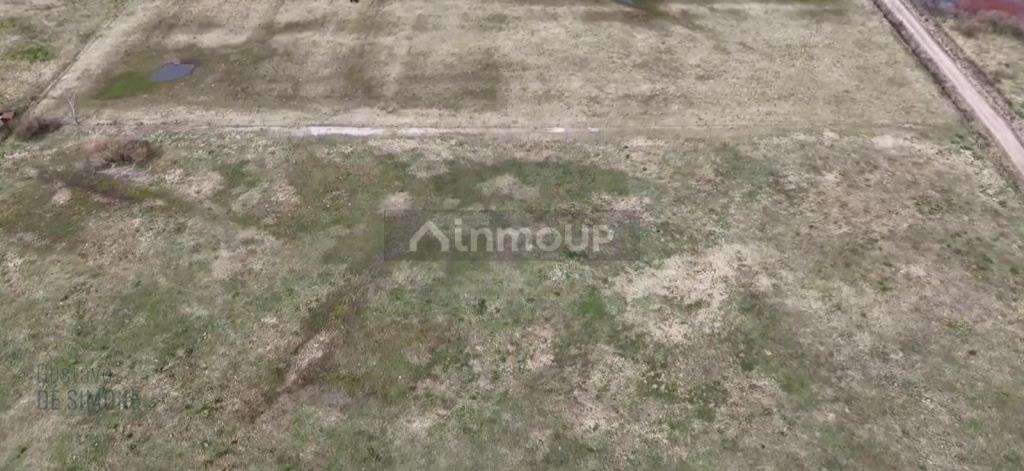 Finca en Venta en Pehuajo, Buenos Aires Interior