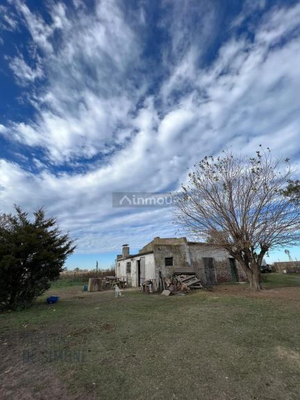 Finca en Venta en Pehuajo, Buenos Aires Interior