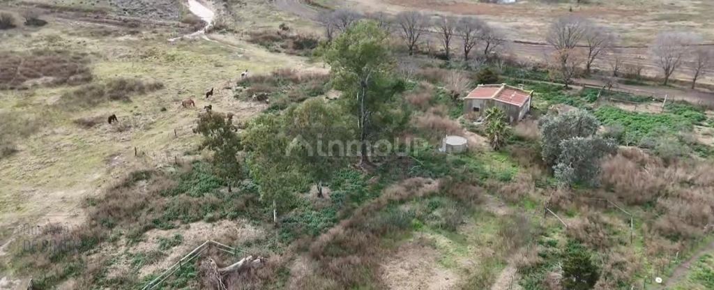 Finca en Venta en Pehuajo, Buenos Aires Interior