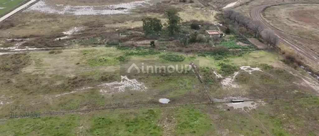 Finca en Venta en Pehuajo, Buenos Aires Interior