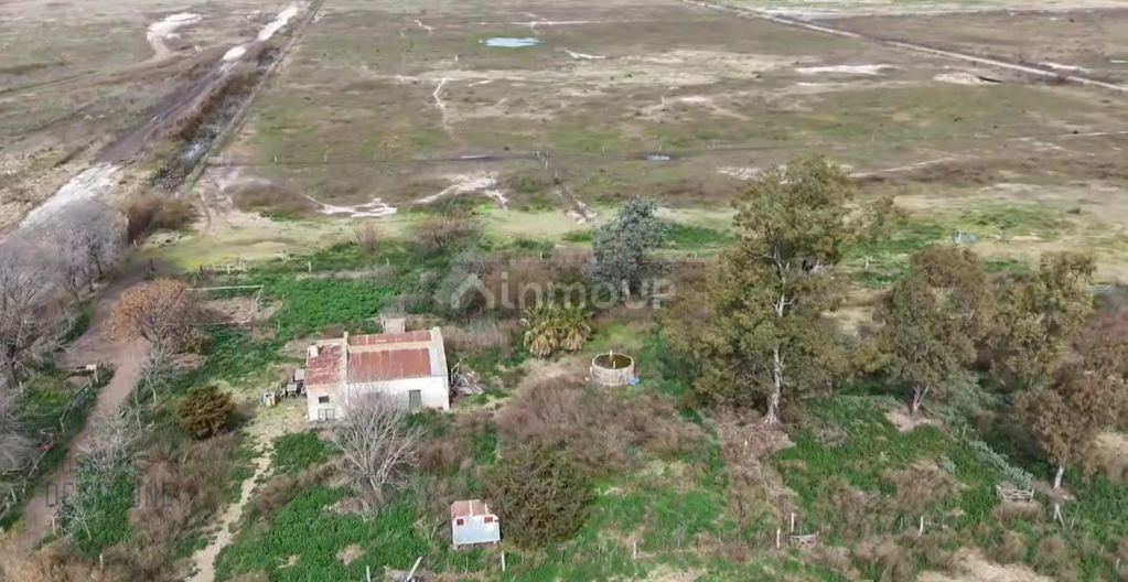 Finca en Venta en Pehuajo, Buenos Aires Interior